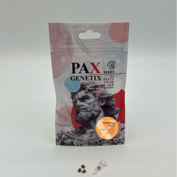 Amnesia Autoflower PAX Genetix