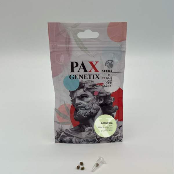 Amnesia PAX Genetix